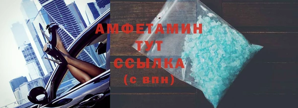 стаф Инта