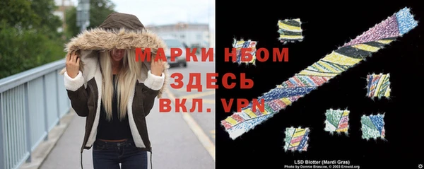 крисы Зерноград