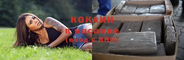 крисы Зерноград