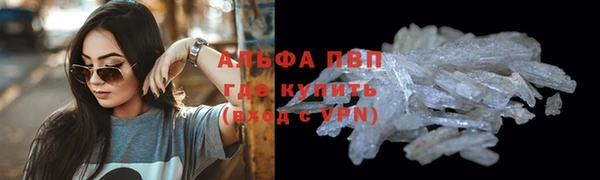 стаф Инта