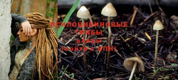 мет Зеленодольск