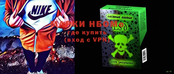 стаф Инта