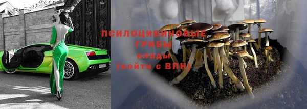 стаф Инта
