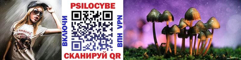 Купить закладки  Карабулак  Псилоцибиновые грибы Magic Shrooms 